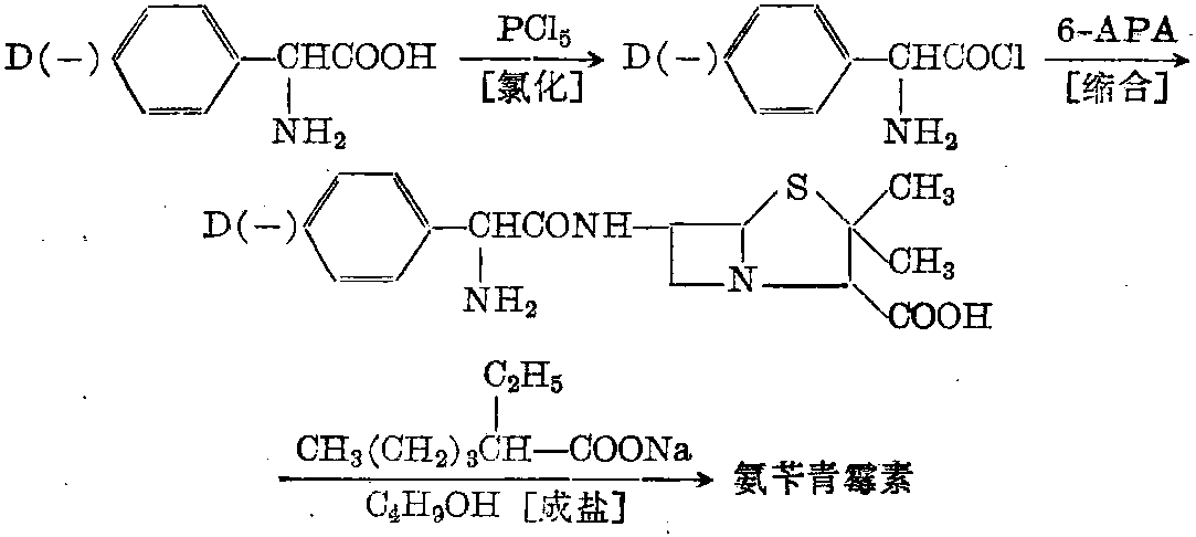 氨苄青霉素缩写图片